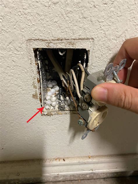 white eggs under wall outlet